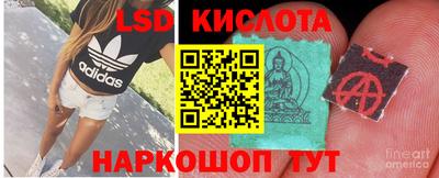 гашик Канаш