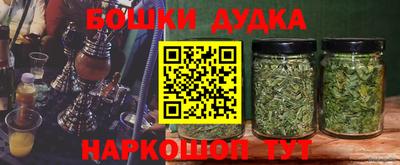 ECSTASY Камышлов