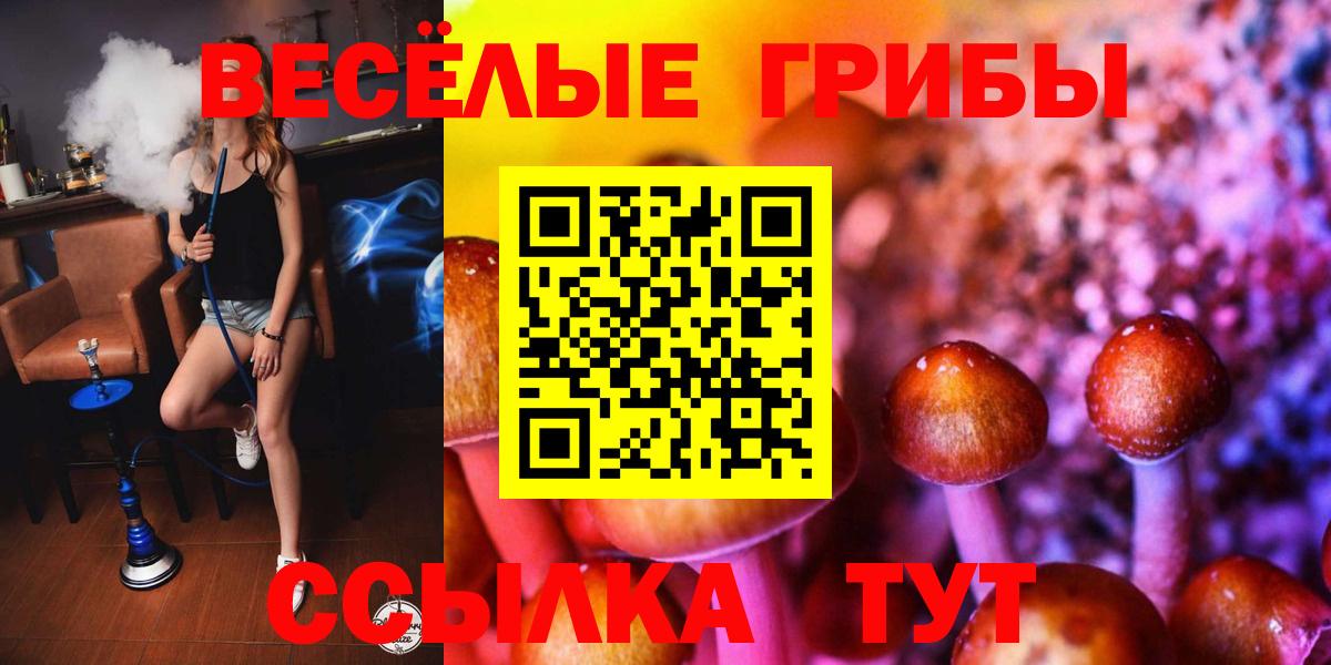 Псилоцибиновые грибы прущие грибы  Вход с VPN  что такое   Волоколамск 