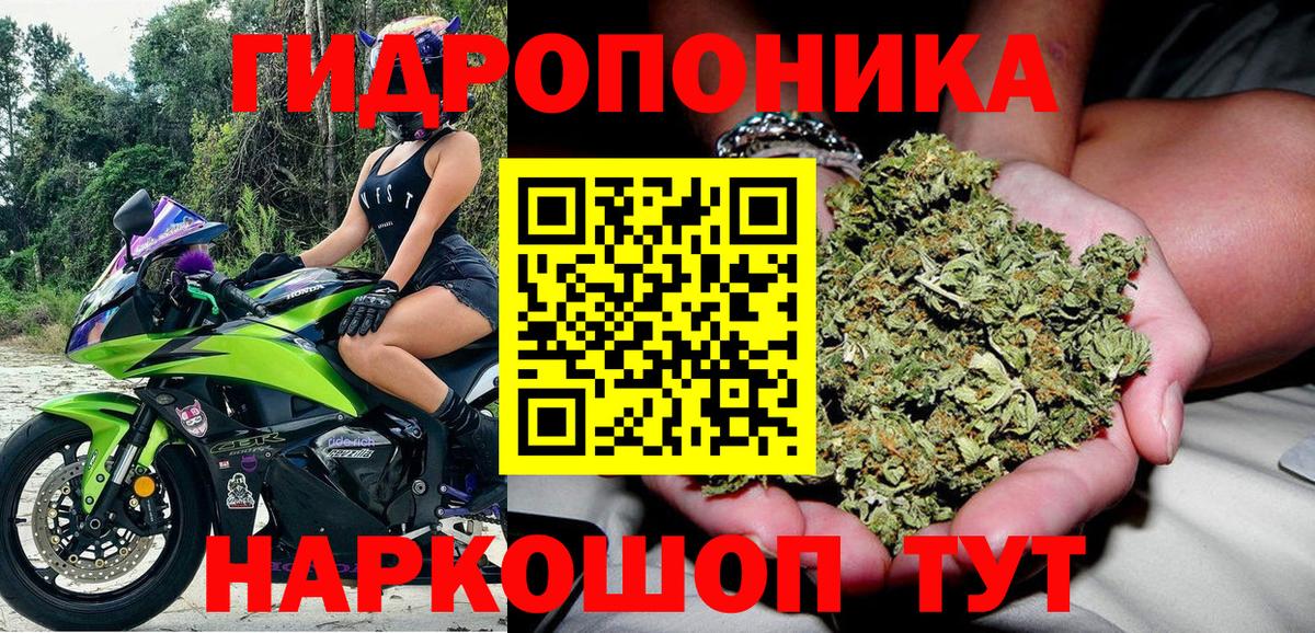 Марихуана планчик  Конопля индика  Марихуана Ganja  Волоколамск  Вход с VPN 